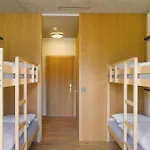 Auberge de jeunesse Youth *